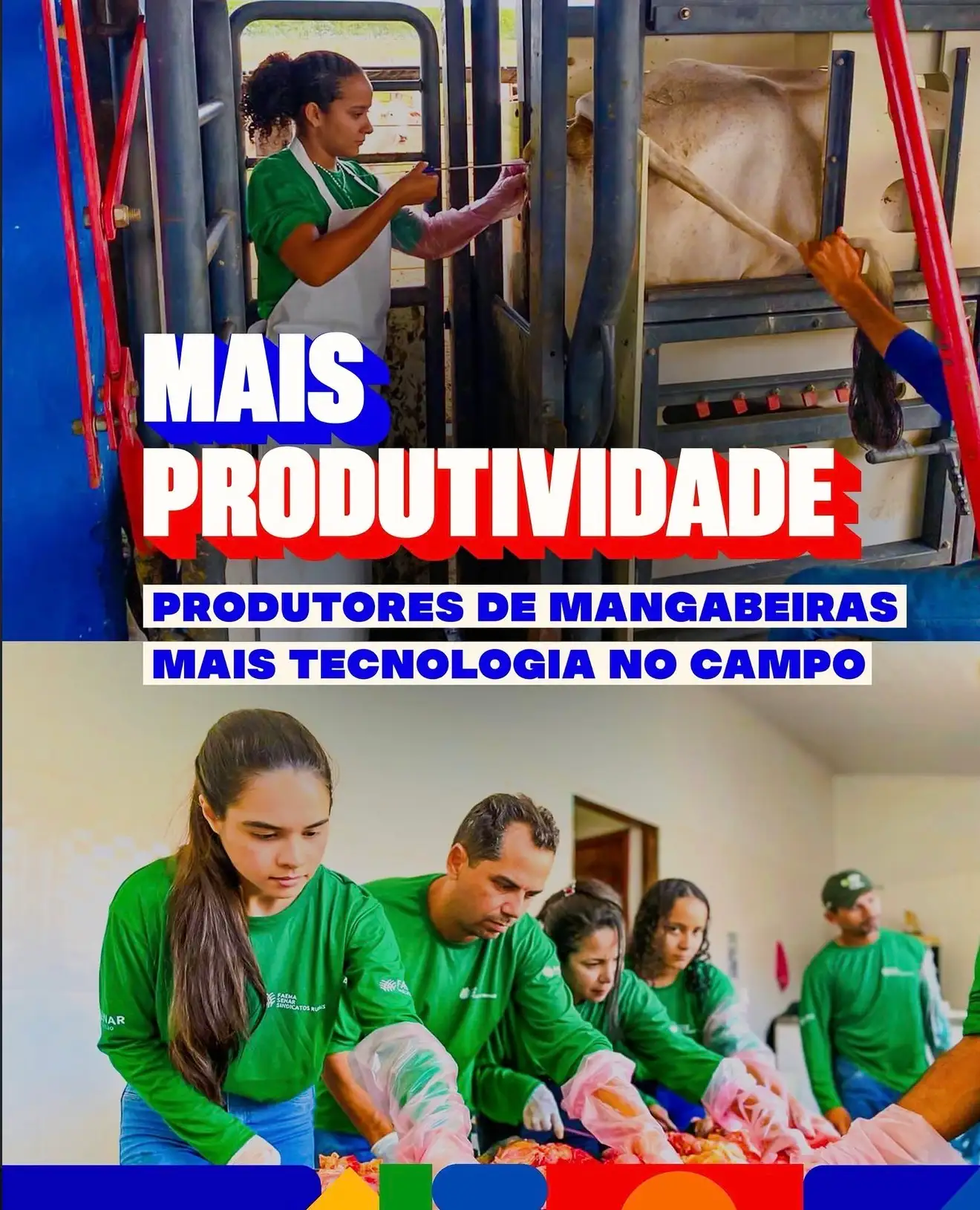 Foto 1 – Prefeitura e SENAR realizam Curso de Inseminação Artificial Bovina para produtores rurais